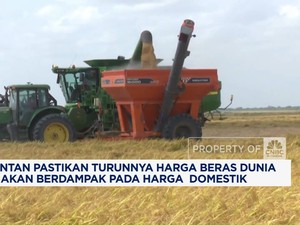 Video:Harga Beras Dunia Jatuh, Wamentan: Efek Indonesia Tak Impor Lagi