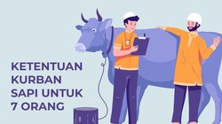 Ketentuan Kurban Sapi untuk 7 Orang