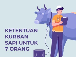 Ketentuan Kurban Sapi untuk 7 Orang
