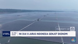 Video: Kuota Impor Kerbau Dipangkas - Trump Ultimatum Bos Apple