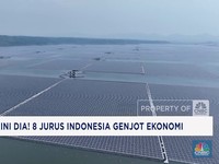 Video: Kuota Impor Kerbau Dipangkas - Trump Ultimatum Bos Apple