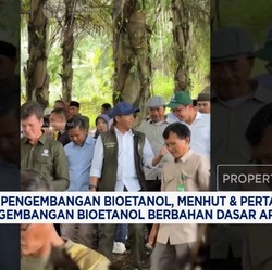 Video: Menhut & Pertamina NRE Kaji Bioetanol Berbahan Aren