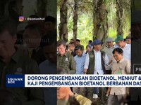 Video: Menhut & Pertamina NRE Kaji Bioetanol Berbahan Aren