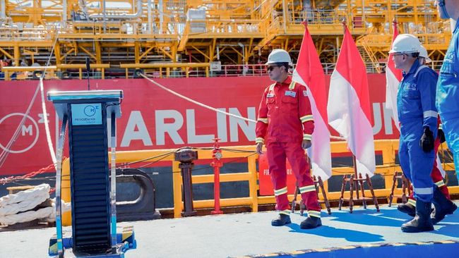 Diresmikan Prabowo, Proyek Minyak di Natuna Telan Investasi Rp 9,87 T