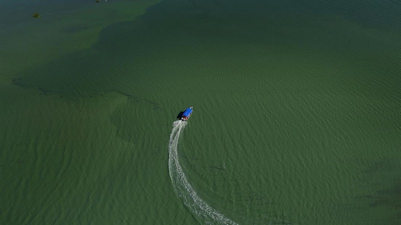 Pemandangan drone menunjukkan tongkang bekerja mengeruk laguna Barra dan Jacarepagua, saat air dari laguna tersebut menodai laut menjadi hijau di lepas pantai Barra da Tijuca, menurut media lokal, di Rio de Janeiro, Brasil, 15 Mei 2025. (REUTERS/Ricardo Moraes)