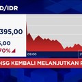 Video: Rupiah Kian Perkasa! Tembus Rp16.300-an per Dolar AS