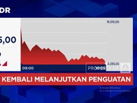 Video: Rupiah Kian Perkasa! Tembus Rp16.300-an per Dolar AS