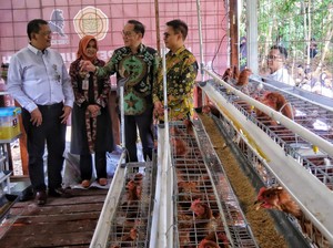 Top! Ada Kandang Ayam Petelur Buat Bantu Disabilitas di Gunungkidul