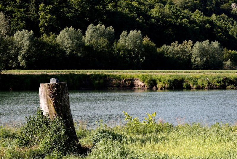 Pemandangan tempat patung Melania Trump dicuri di Rozno, dekat kampung halamannya di Sevnica, Slovenia, 17 Mei 2025. Pemandangan tempat patung Melania Trump dicuri di Rozno, dekat kampung halamannya di Sevnica, Slovenia, 17 Mei 2025. (REUTERS/Borut Zivulovic)