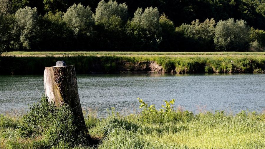 Pemandangan tempat patung Melania Trump dicuri di Rozno, dekat kampung halamannya di Sevnica, Slovenia, 17 Mei 2025. (REUTERS/Borut Zivulovic)