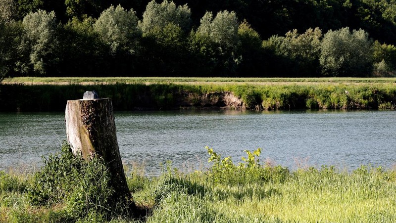 Pemandangan tempat patung Melania Trump dicuri di Rozno, dekat kampung halamannya di Sevnica, Slovenia, 17 Mei 2025. (REUTERS/Borut Zivulovic)