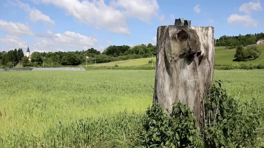 Pemandangan tempat patung Melania Trump dicuri di Rozno, dekat kampung halamannya di Sevnica, Slovenia, 17 Mei 2025. (REUTERS/Borut Zivulovic)