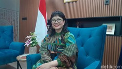 Kemendiktisaintek Bakal Bangun 4 Sekolah Garuda Baru Tahun Depan