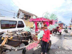 Kepasrahan Alam Sang Kusir Delman yang Ditelan Zaman