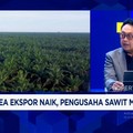 Video: Aturan Cepat Berubah & Produksi Mandek Ancam Industri Sawit RI