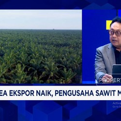 Video: Aturan Cepat Berubah & Produksi Mandek Ancam Industri Sawit RI