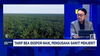 Video: Aturan Cepat Berubah & Produksi Mandek Ancam Industri Sawit RI