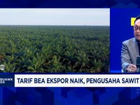 Video: Aturan Cepat Berubah & Produksi Mandek Ancam Industri Sawit RI