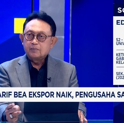Video: Beban Ekspor CPO Lebih Tinggi Dari Malaysia, Pengusaha Menjerit