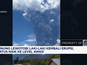  Gunung Lewotobi Laki-Laki Erupsi, Status Naik ke Level Awas!
