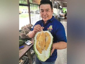 Tupai King Dinobatkan Sebagai Durian Premium Kalahkan Black Thorn
