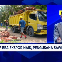 Video: Ekspor Sawit RI Terancam Perang India & Kenaikan Bea Ekspor