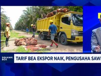 Video: Ekspor Sawit RI Terancam Perang India & Kenaikan Bea Ekspor