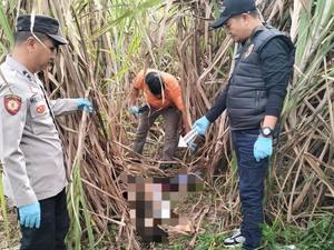 Polisi Periksa 7 Saksi Terkait Kematian Mita di Kebun Tebu Ogan Ilir