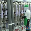 Staf Presiden Blak-blakan Soal Penyebab Deindustrialisasi RI