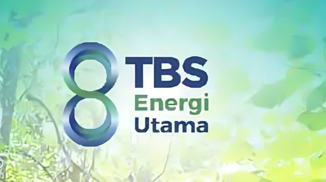 TBS Resmi Divestasi Pembangkit Batu Bara di Sulawesi, Cuan Triliunan