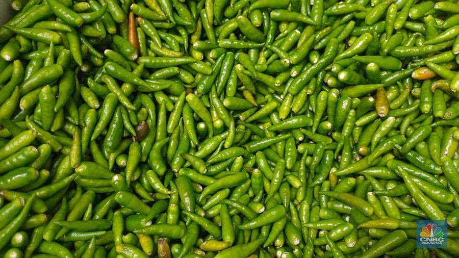 Pantauan CNBC Indonesia harga cabai di pasar berubah drastis dalam waktu singkat seperti di Pasar Rumput, Jakarta Selatan, Senin (19/5/2025). (CNBC Indonesia/Martyasari Rizky)
