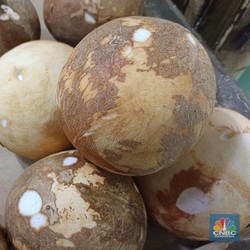 Pedagang Terpaksa Jual Kelapa Parut Sisa Ekspor China Kualitas Rendah