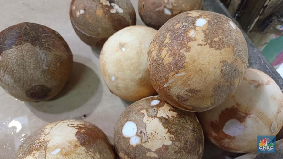 Pantauan harga kelapa di Pasar Rumput, Jakarta Selatan, Senin (19/5/2025). (CNBC Indonesia/Martyasari Rizky)