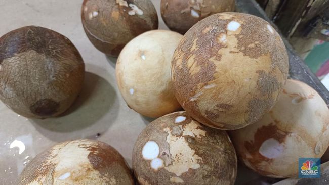 Pedagang Terpaksa Jual Kelapa Parut Sisa Ekspor China Kualitas Rendah