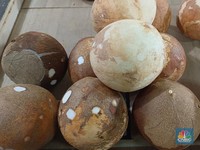 Pantauan harga kelapa di Pasar Rumput, Jakarta Selatan, Senin (19/5/2025). (CNBC Indonesia/Martyasari Rizky)
