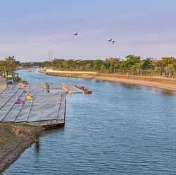 Bird Sanctuary PIK2: Rumah Baru untuk Burung-burung di Pesisir Jakarta