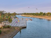 Bird Sanctuary PIK2: Rumah Baru untuk Burung-burung di Pesisir Jakarta