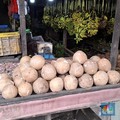 Harga Kelapa Parut di Pasar Ini Turun, Pedagang Ungkap Hal Tak Terduga
