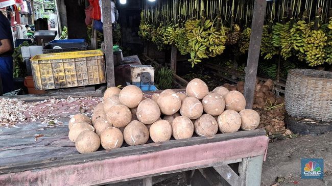 Harga Kelapa Parut di Pasar Ini Turun, Pedagang Ungkap Hal Tak Terduga