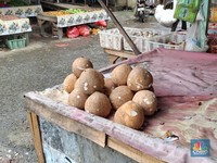 Kelapa Asal RI Dicap 'Pohon Surga', Diburu Orang Eropa karena Sakti