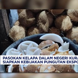 Video: Pasokan Kelapa Turun, Pemerintah Siapkan Pungutan Ekspor