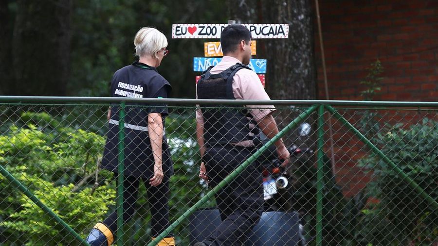 Sebuah tanda menandakan penutupan kebun binatang setelah Brasil mengonfirmasi wabah flu burung pada hari Jumat, yang memicu protokol larangan perdagangan unggas secara nasional bagi pembeli utama China dan pembatasan negara bagi konsumen utama lainnya, di Sapucaia do Sul, Brasil, 19 Mei 2025. Sebuah tanda menandakan penutupan kebun binatang setelah Brasil mengonfirmasi wabah flu burung pada hari Jumat, yang memicu protokol larangan perdagangan unggas secara nasional bagi pembeli utama China dan pembatasan negara bagi konsumen utama lainnya, di Sapucaia do Sul, Brasil, 19 Mei 2025. (REUTERS/Diego Vara)