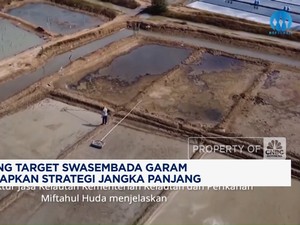 Video: Dukung Swasembada Garam, KKP Siapkan Strategi Jangka Panjang