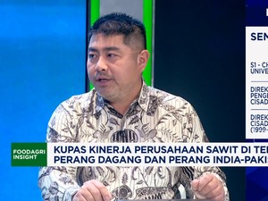 Video: Harap-harap Cemas Bos Sawit, Perang Tarif Gerus Harga-Penjualan