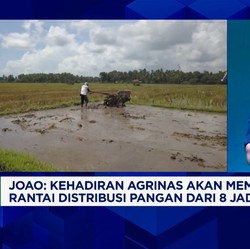 Video: Agrinas Bantu Petani 