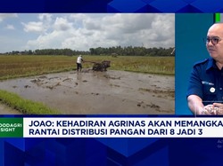 Video: Agrinas Bantu Petani "Lawan" Mafia & Pangkas Distribusi Pangan