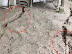 Warga Suppirang Pinrang Minta Direlokasi gegara Tanahnya Kerap Longsor-Retak
