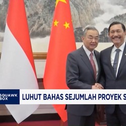 Video: Luhut Temui Menlu China, Bahas Kereta Cepat - Tanggul Laut