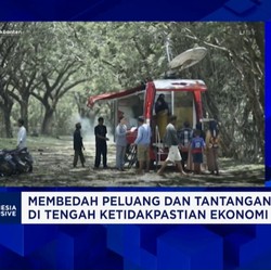 Video: 