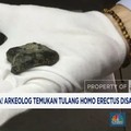 Video: Arkeolog Temukan Tulang Homo Erectus di Madura